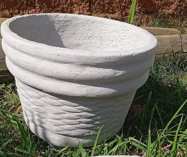 vaso de planta dona euzébia imagem 10