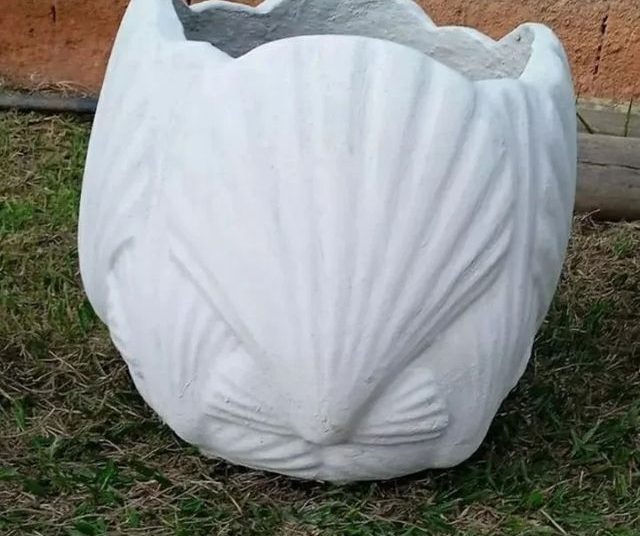 vaso de planta dona euzébia imagem 12