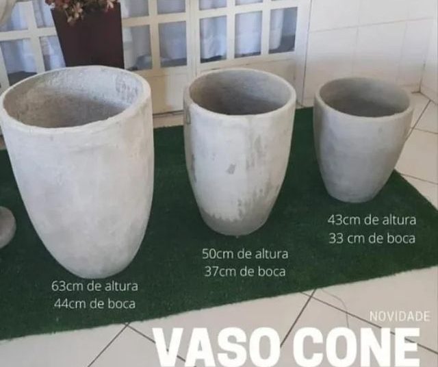 vaso de planta dona euzébia imagem 3