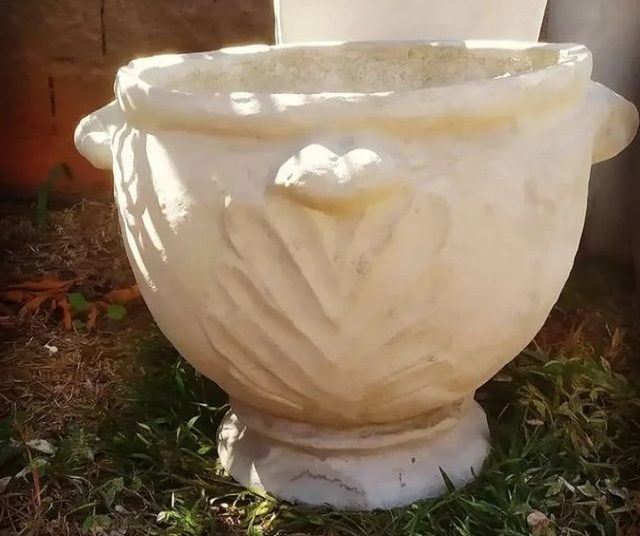 vaso de planta dona euzébia imagem 4