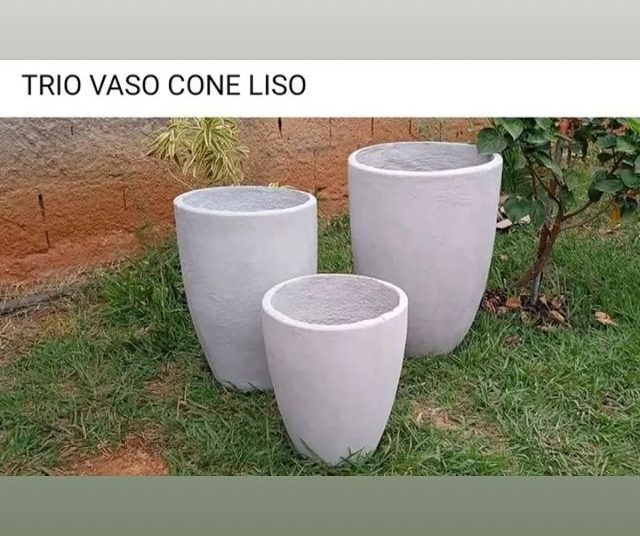 vaso de planta dona euzébia imagem 8